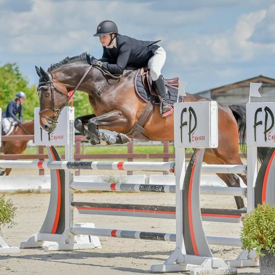 Gite Ecuries Vineuil Jump 6 Personnes Eksteriør bilde